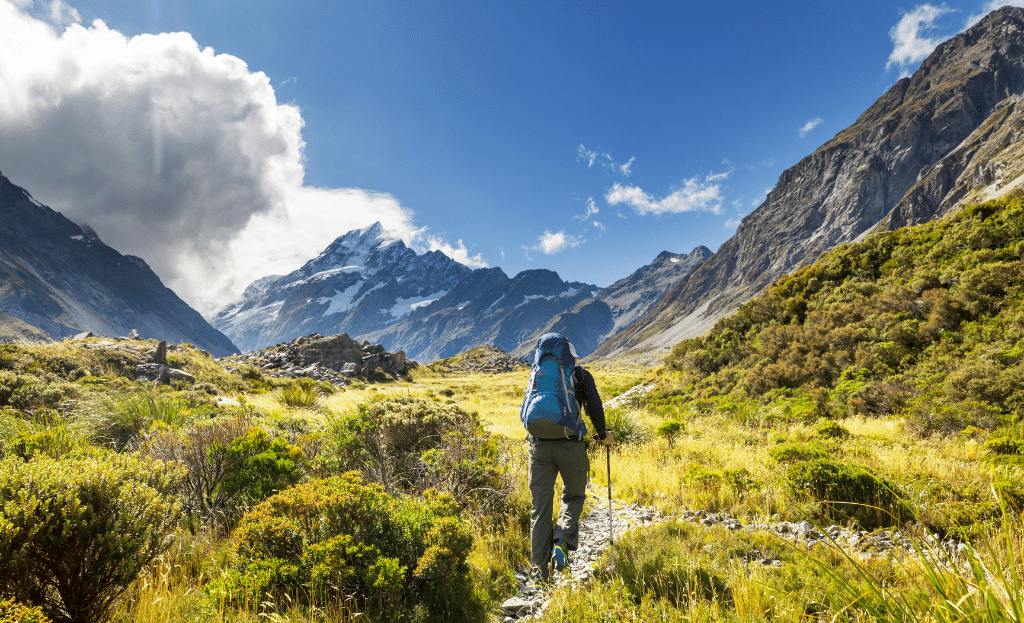 New Zealand Tax Rates and Tips for US Expats 